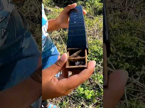 Hanap Gagamba #short #shorts #spider #viral #satisfying