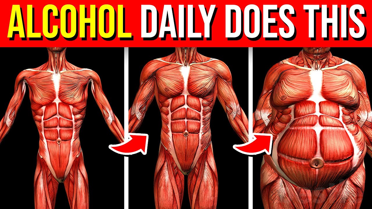 What Happens To Your Body When You Drink Alcohol Every Day