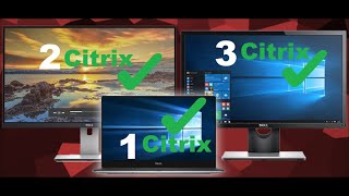 Use multiple monitors in Citrix application | Updated 2022 | with resolution issue fix