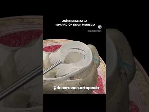 Vicente Carrasco García-34