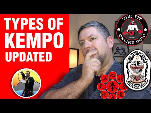 Different Types of Kempo UPDATE | ART OF ONE DOJO