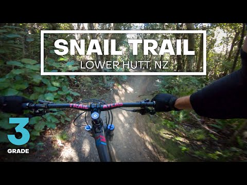 FLOWY FUN - Snail Trail Mountain Bike Trail (Grade 3 - Intermediate) | Wainuiomata, Lower Hutt