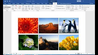 how to insert picture in word document into word Table same size