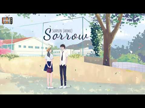 [Vietsub+Engsub+hangul] Sorrow - Suhyun(Akmu ) |《begin again 3》