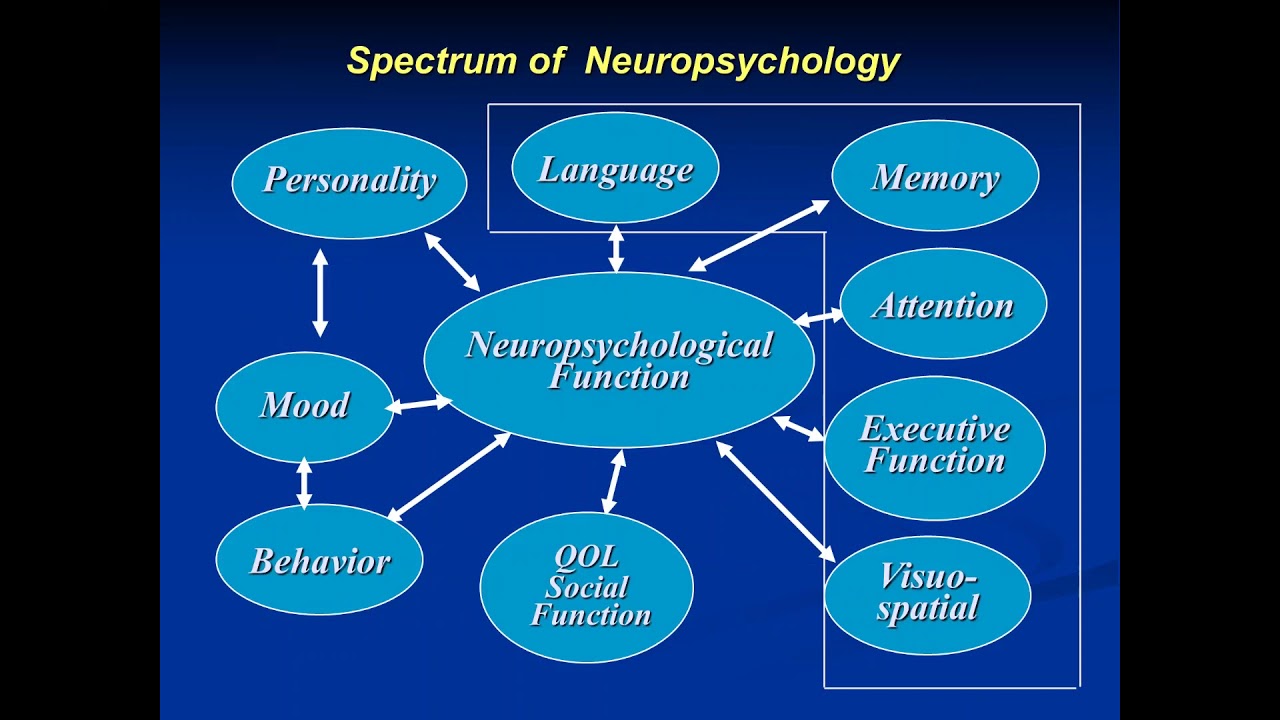 Is It Normal Aging Or Dementia - Caregiver Webinar