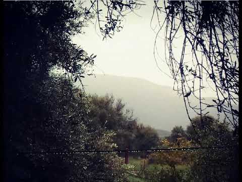 Tayri d txidas Music