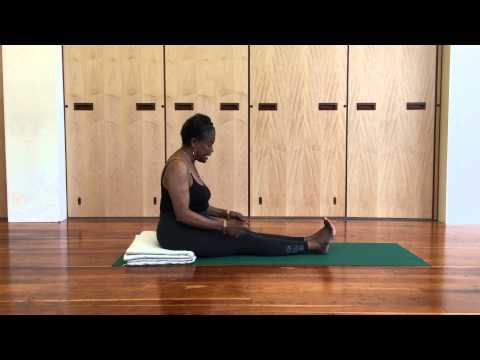 Jaki Nett Teaches Dandasana (Staff Pose) - Iyengar Yoga
