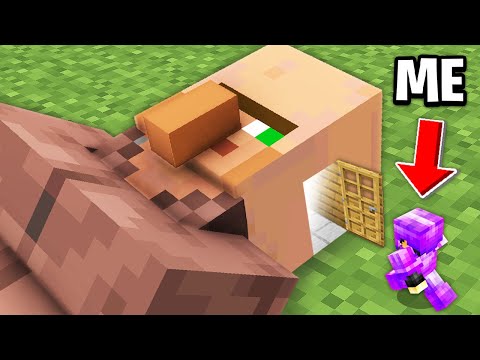 What's Inside This Minecraft Mob?