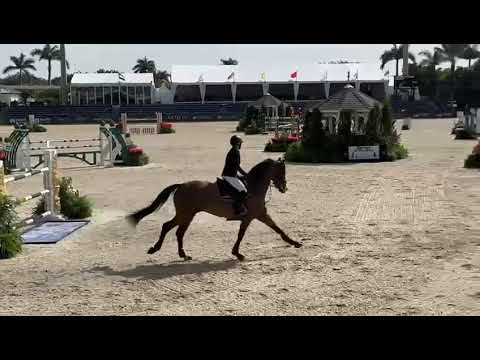 SX - Everton PJ - 145cm - Florida