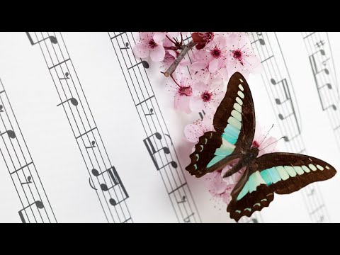 He is exalted / Great is the Lord