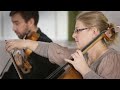 Listening Guide: Sibelius Symphony No. 5