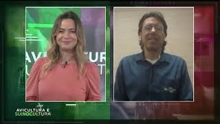 Miniatura do vídeo