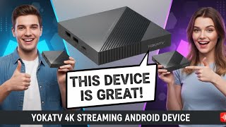 EXCELLANT FIRESTICK REPLACEMENT