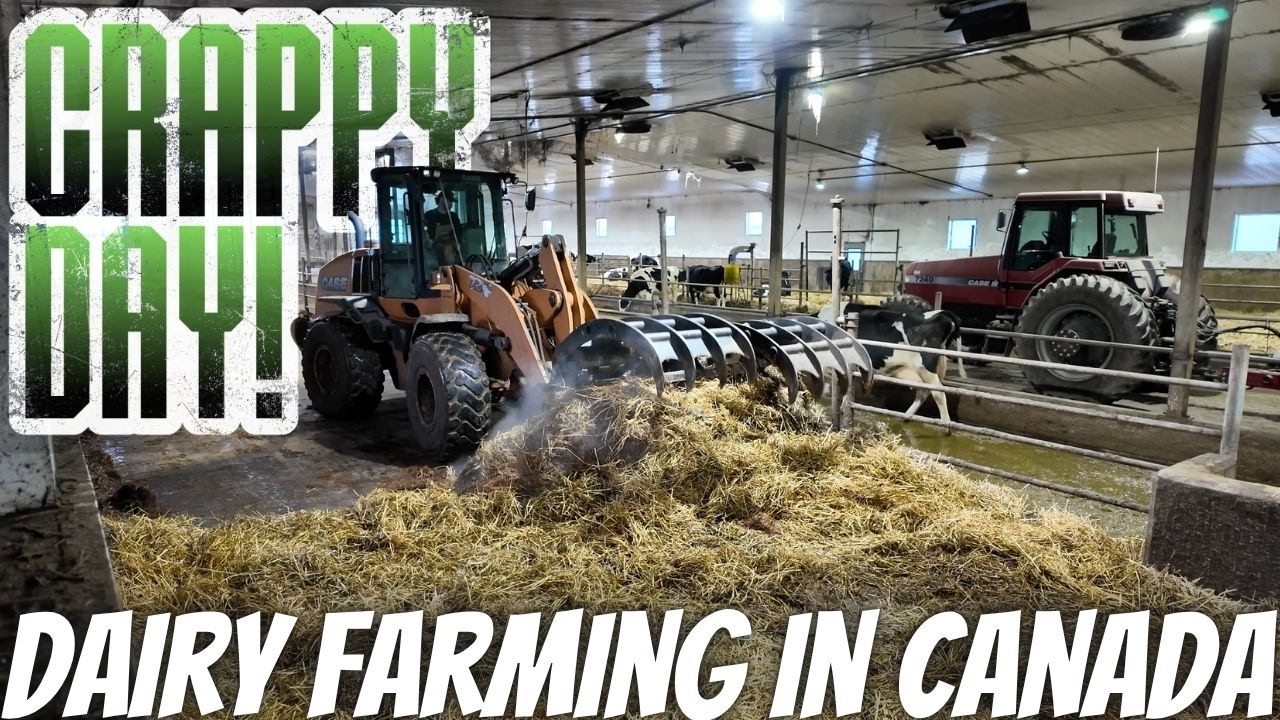 Dealing With Liquid and Solid Manure in 1 Day!