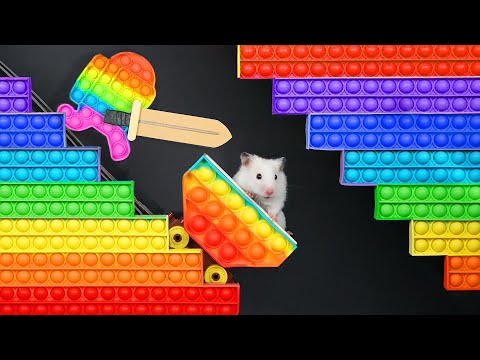 🐹 Hamster vs Pop It maze for pets 🐹 Escape in real life