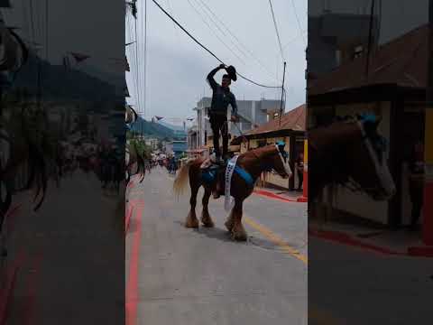 desfile  de. la. feria  de. san cristobal cucho