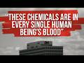 3M PFAS Documentary Everywhere Forever Blood Water And The Politics Of PFAS