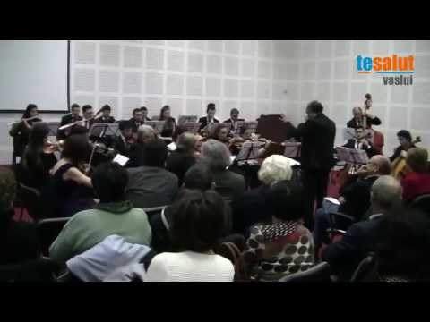 “CONCERT de ANUL NOU” - 2017