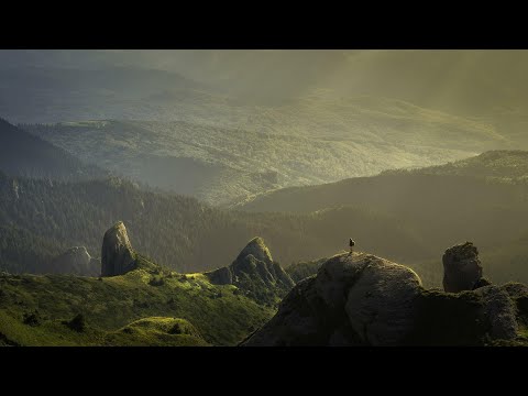 Running Up That Hill - Sonny Wern, OFF TOPIC, Dimmalou