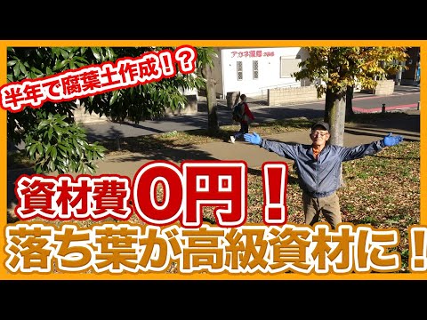 枯れ葉を使った肥料の作り方は？葉を再利用して適切に変形するにはどうすればよいですか?  庭園
