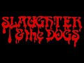 Slaughter And The Dogs - The Bitch (Live)