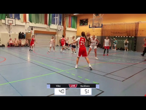 Viby Basket Dam - Backlura