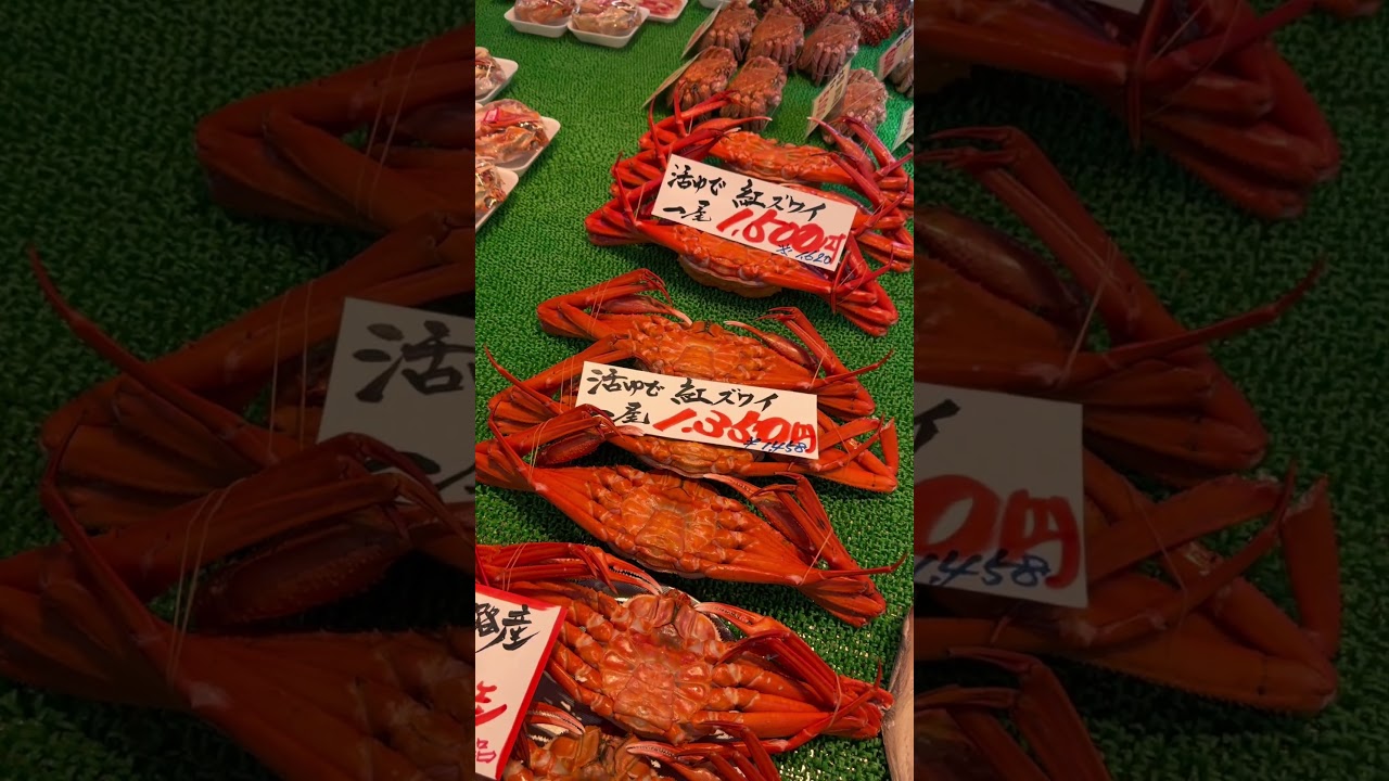 釧路行ってきました