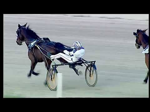 Napoli Trotto 25/01/2022 - 7ª corsa - TRIS