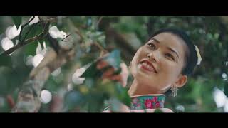 Miraculous Leaf 叶之灵 - Trailer