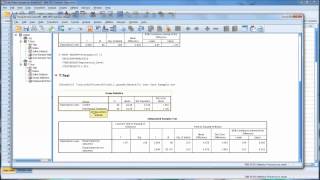 One-Sample and Independent-Samples T Tests in SPSS