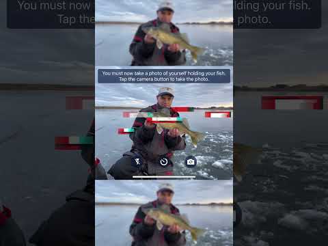 Live Fishing League Video