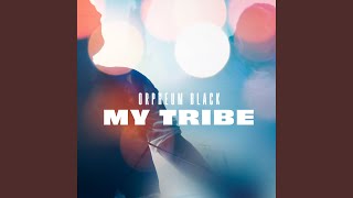 My Tribe