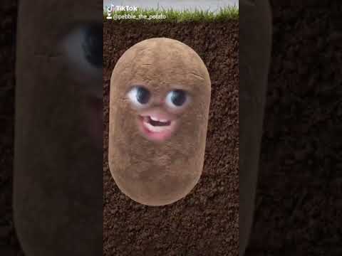 Hit me baby one more time - Pebble Edition