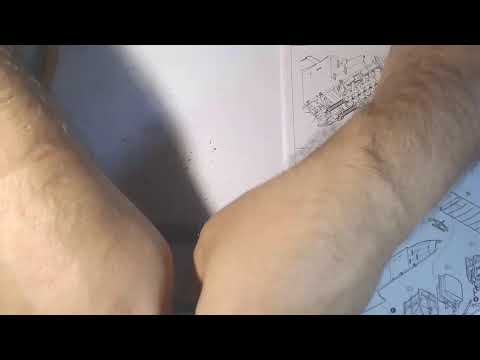 Albatros DIII 1/32 Roden- cont.