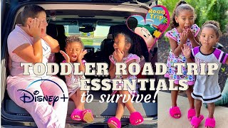 Toddler Road Trip Essentials | Road Trips With Kids | Mom Hacks