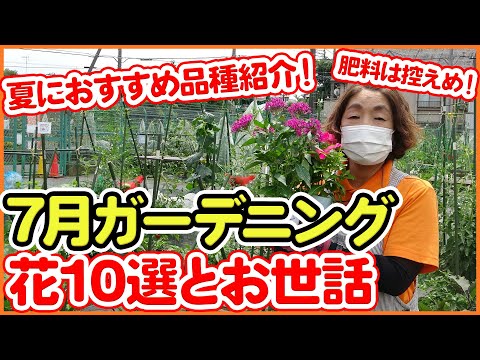 エディブルフラワーとして