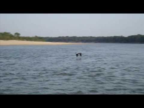 FG  Tu Amor y El Rio - Armando Martínez