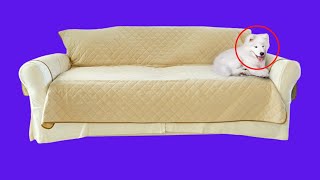 Before You Buy Sofa Cover for Dogs - Premium Couch Cover