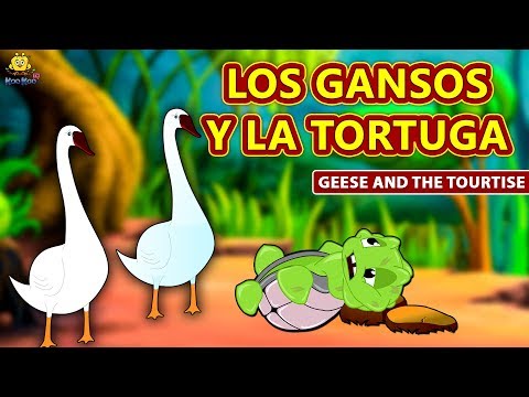 LOS GANSOS Y LA TORTUGA - Cuentos de dormir para niños | Historias Españolas Para Niños | Koo Koo TV