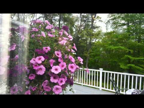 77 Grover Street, Beverly, MA 01915