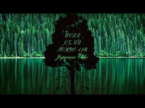 2022.05.22   東京11R  オークス(優駿牝馬)