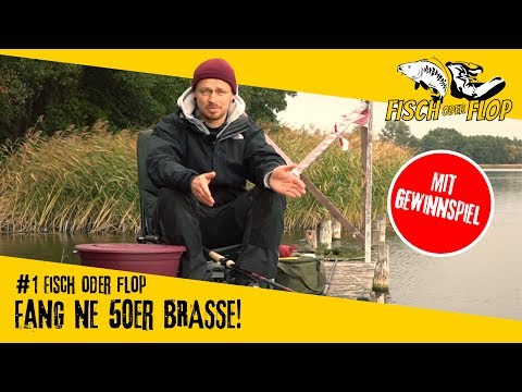 #1 FISH or FLOP: Feeder fishing for bream | 50 centimeters? | Plauer See | Anglerboard TV