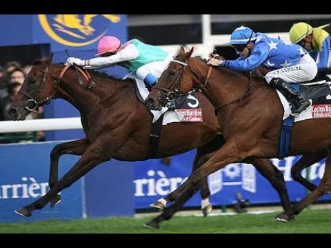 2006 Prix de l'Arc de Triomphe (Rail Link)