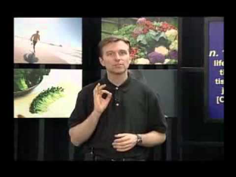 Adrenal Fatigue Is Cortisol Responsible for Your Diabetes Dr Berg