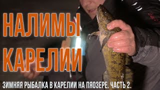 Ссылка