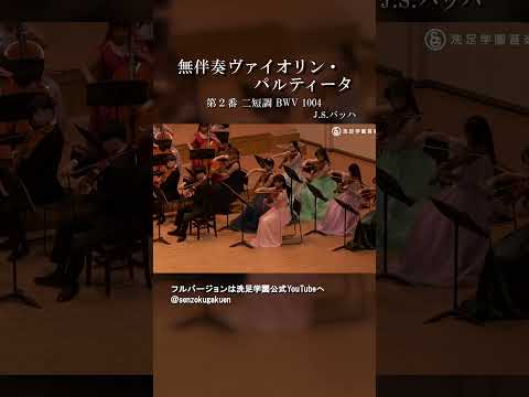 無伴奏ヴァイオリン・パルティータ 第２番 二短調 BWV 1004
