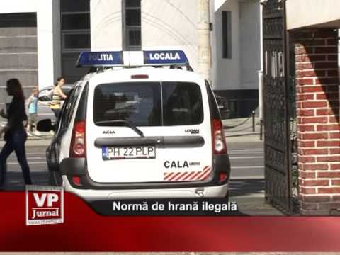 Normă de hrană ilegală