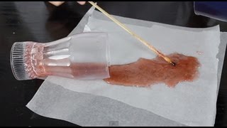 10 Crazy Pranks To Play On Your Friends And Family!