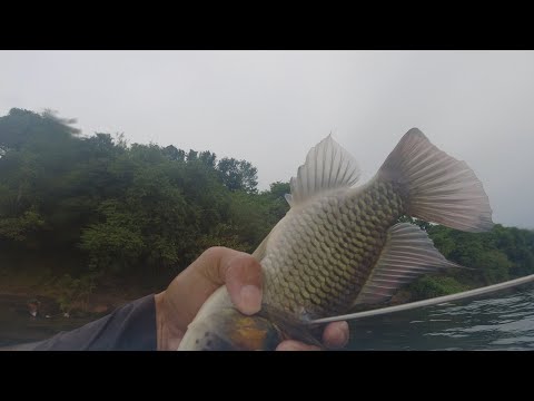 SE02EP113 Part 2 - Ang MALUSOG na BAGONG SPOT sa TALISAY BATANGAS