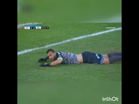 Palmeiras 0x0 Inter de Limeira, mengo 2x1 portuguesa, com guardião mitero